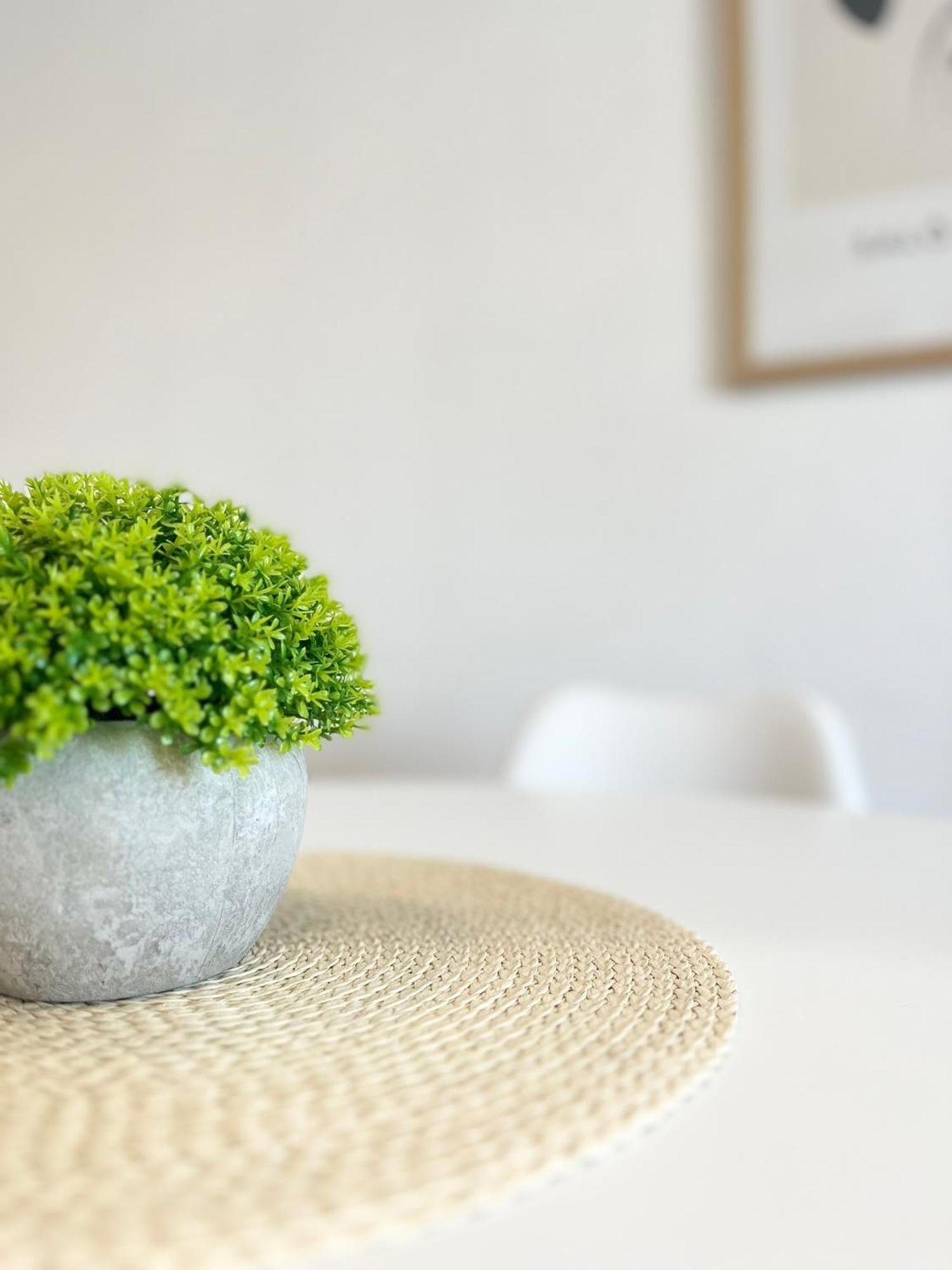Apartments Contessa Novigrad  ภายนอก รูปภาพ